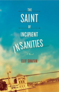 The Saint of Incipient Insanities (2004)