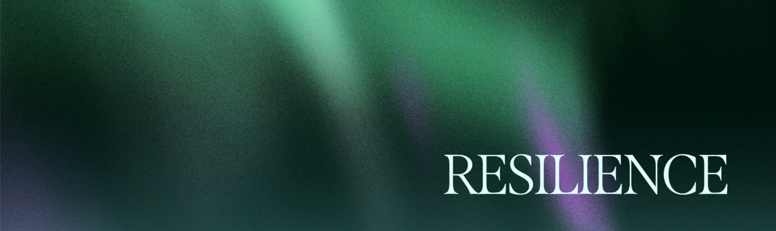 Interactive Programming - Resilience