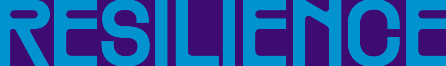 Interactive programming - Resilience