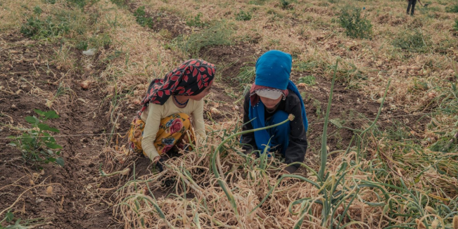 Why stronger laws alone are not enough to end modern slavery