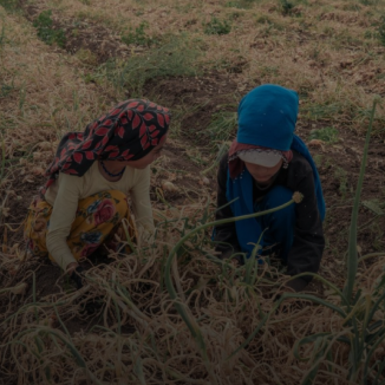 Why stronger laws alone are not enough to end modern slavery